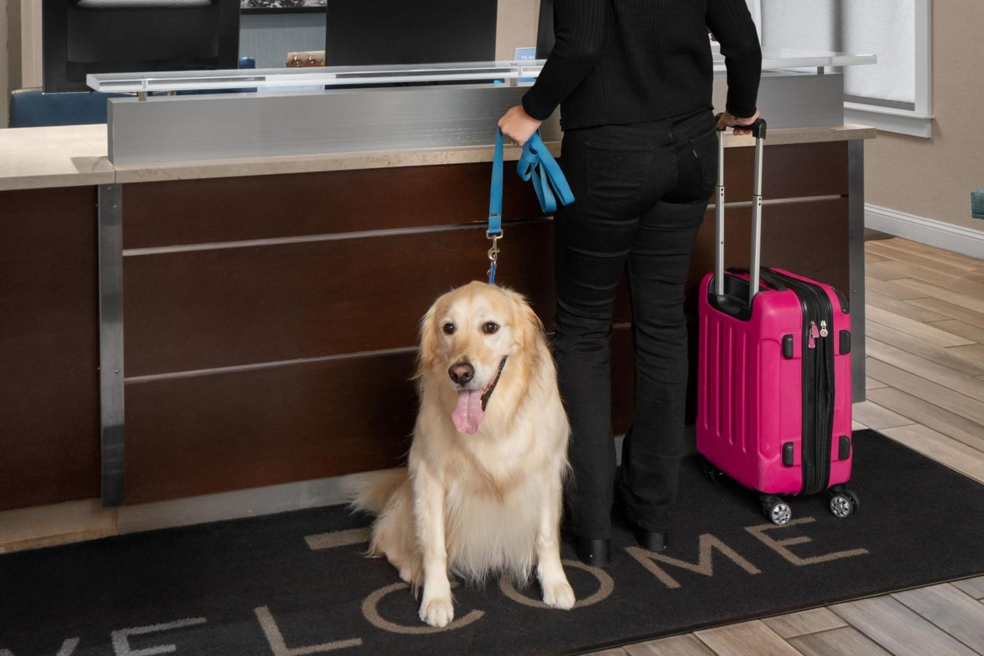 Residence Inn Boston Dedham Zewnętrze zdjęcie
